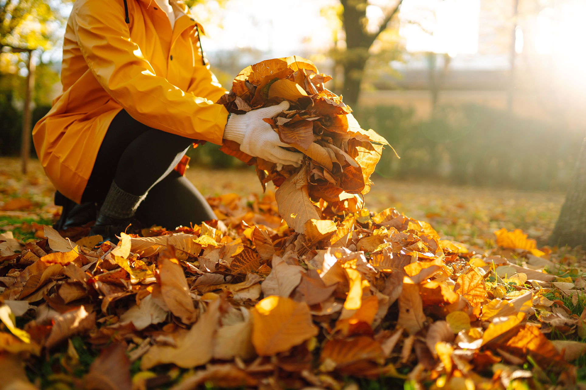 Getting your home winter ready