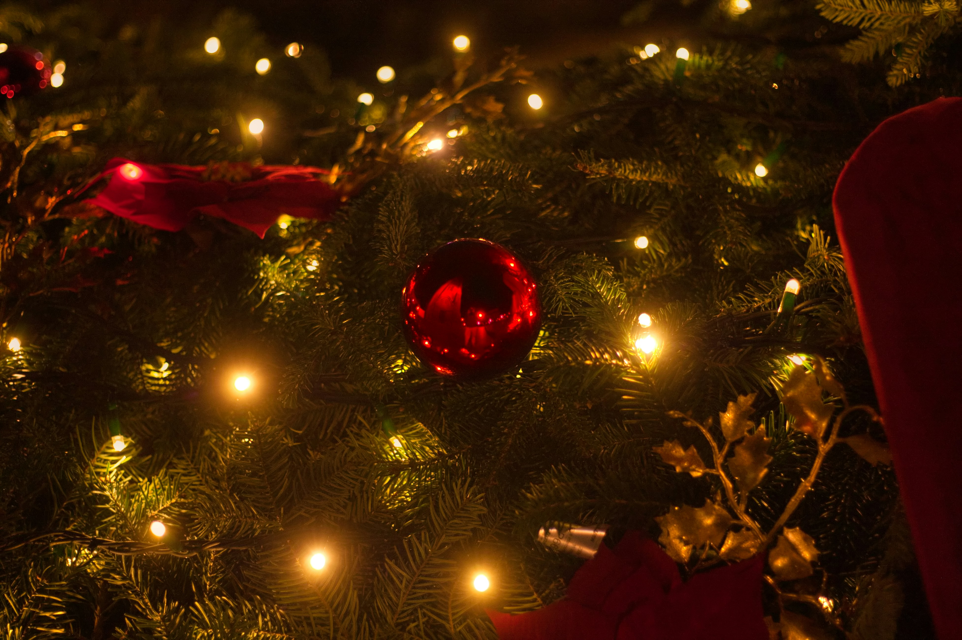 Win a Christmas hamper! 
